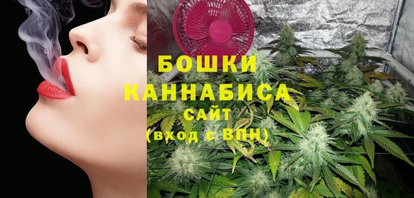 дмт Бронницы