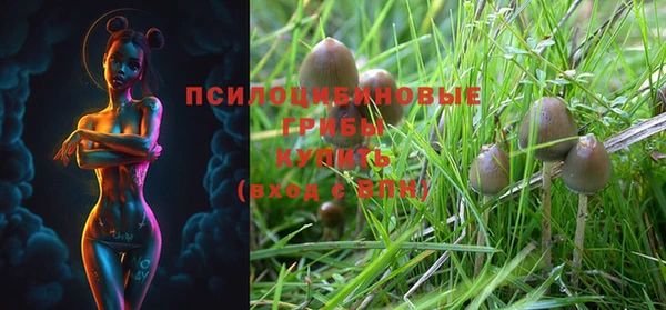 первитин Бугульма