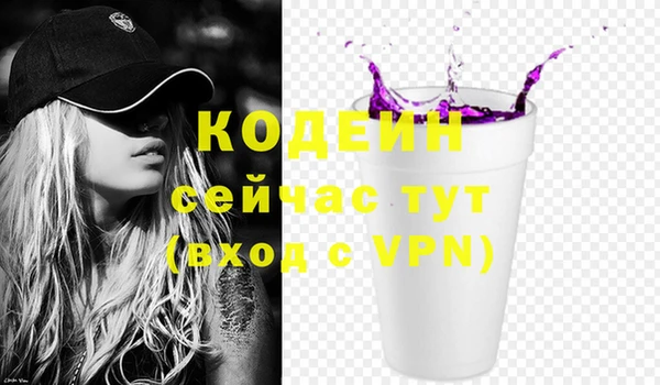 соль ск Бородино